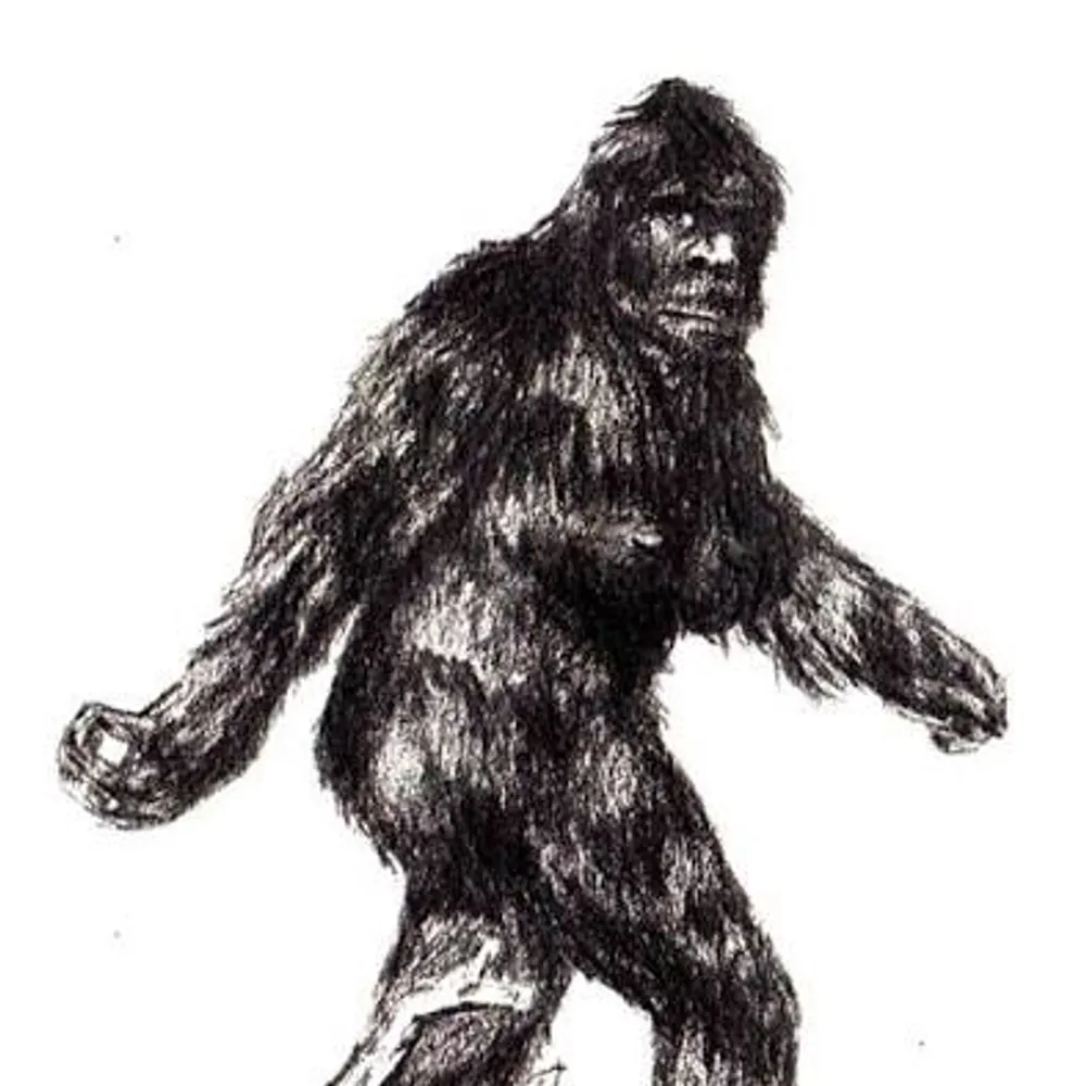 andyoregon.bsky.social's profile picture