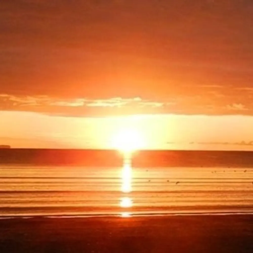 clarkeeeeee.bsky.social's profile picture