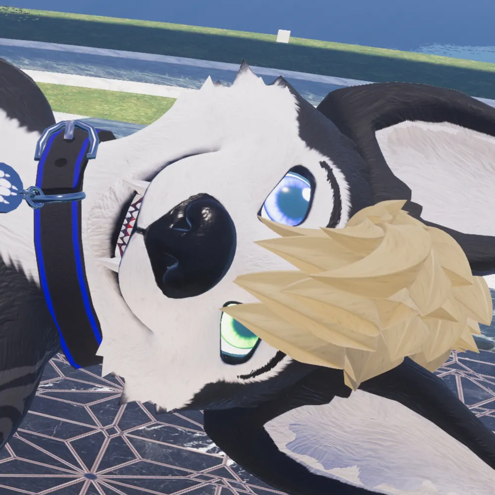 califfj.bsky.social's profile picture