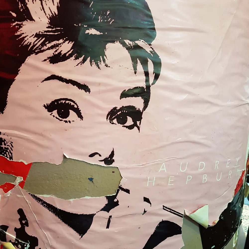 fairweathersurfer.bsky.social's profile picture