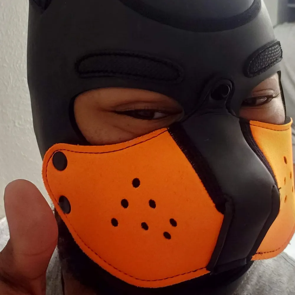 northdotexe.bsky.social's profile picture