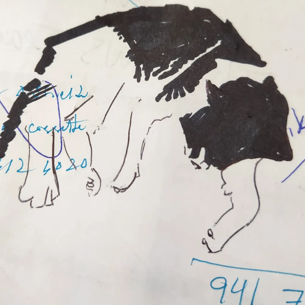 coralbells.bsky.social's profile picture