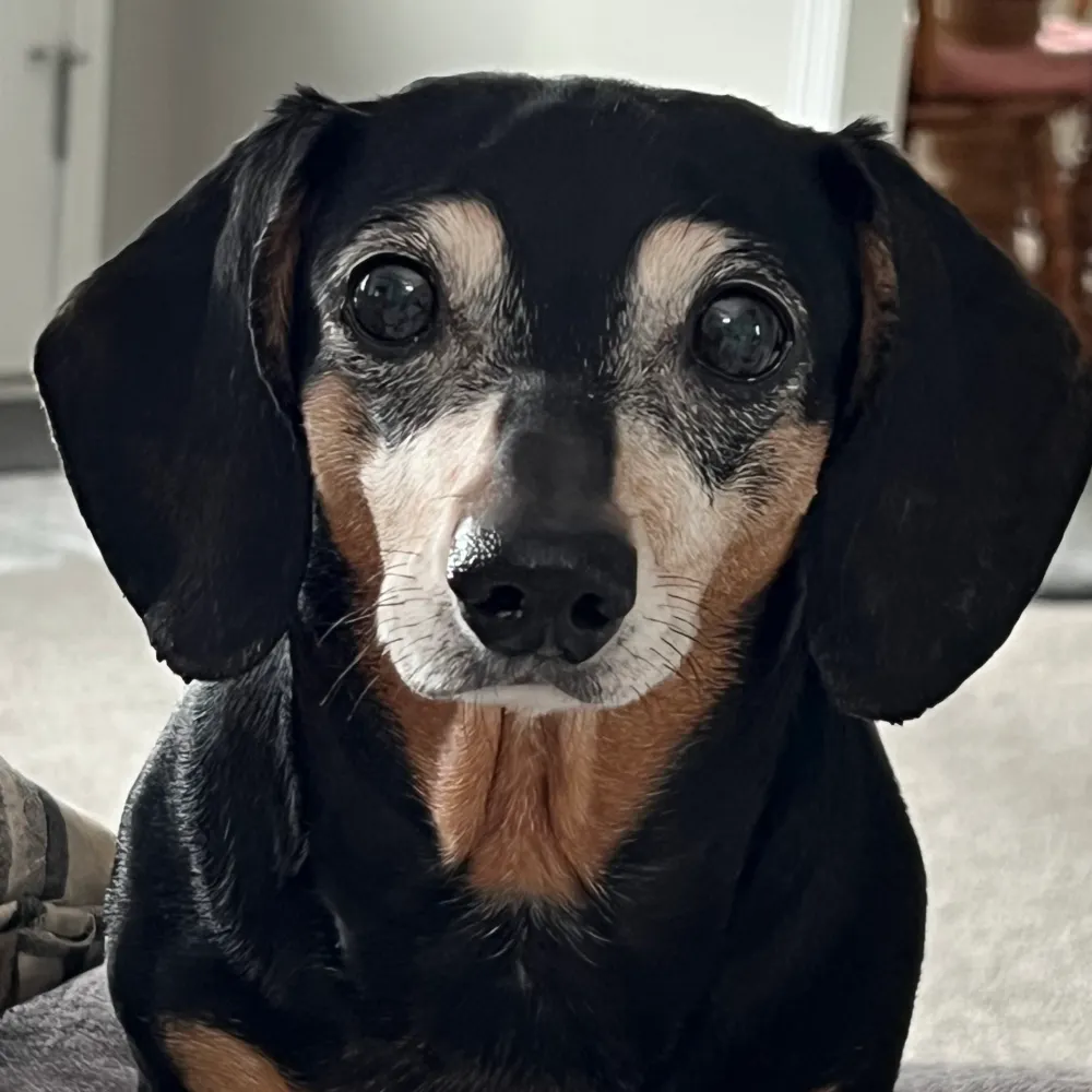 jandersen33.bsky.social's profile picture