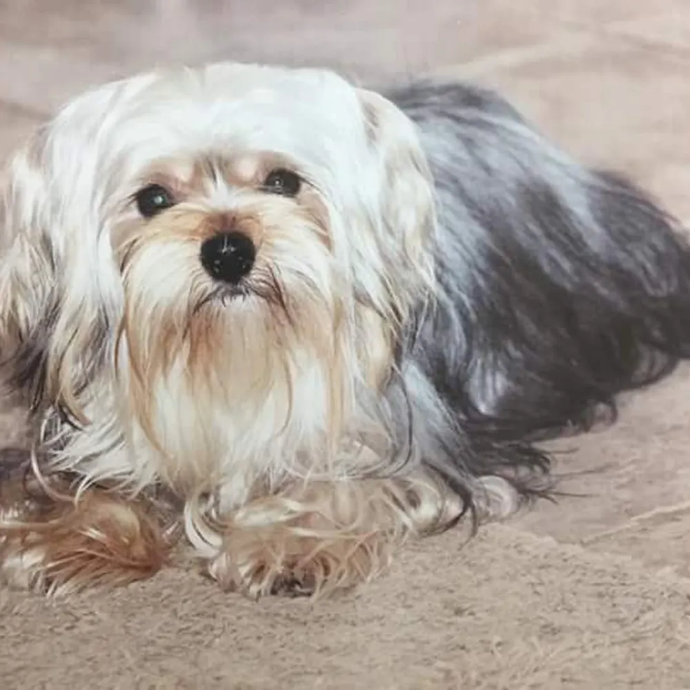 nursek49.bsky.social's profile picture