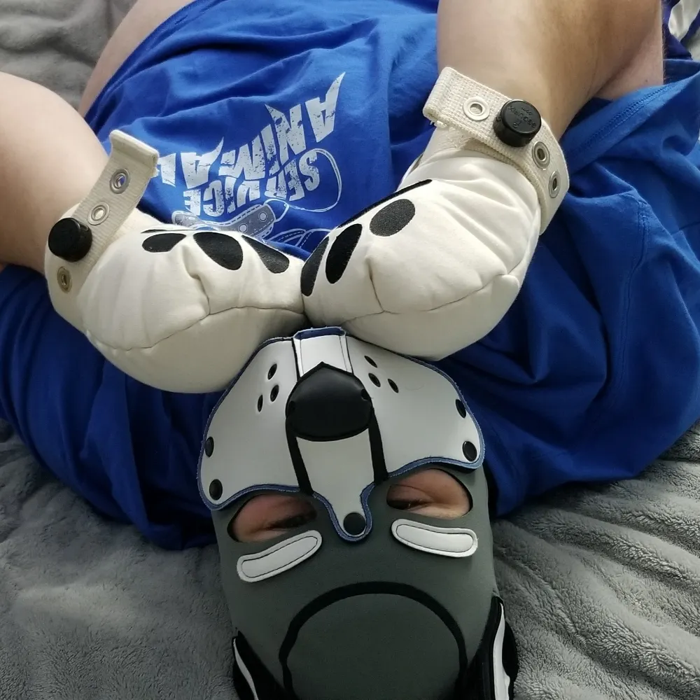 kaithal.bsky.social's profile picture