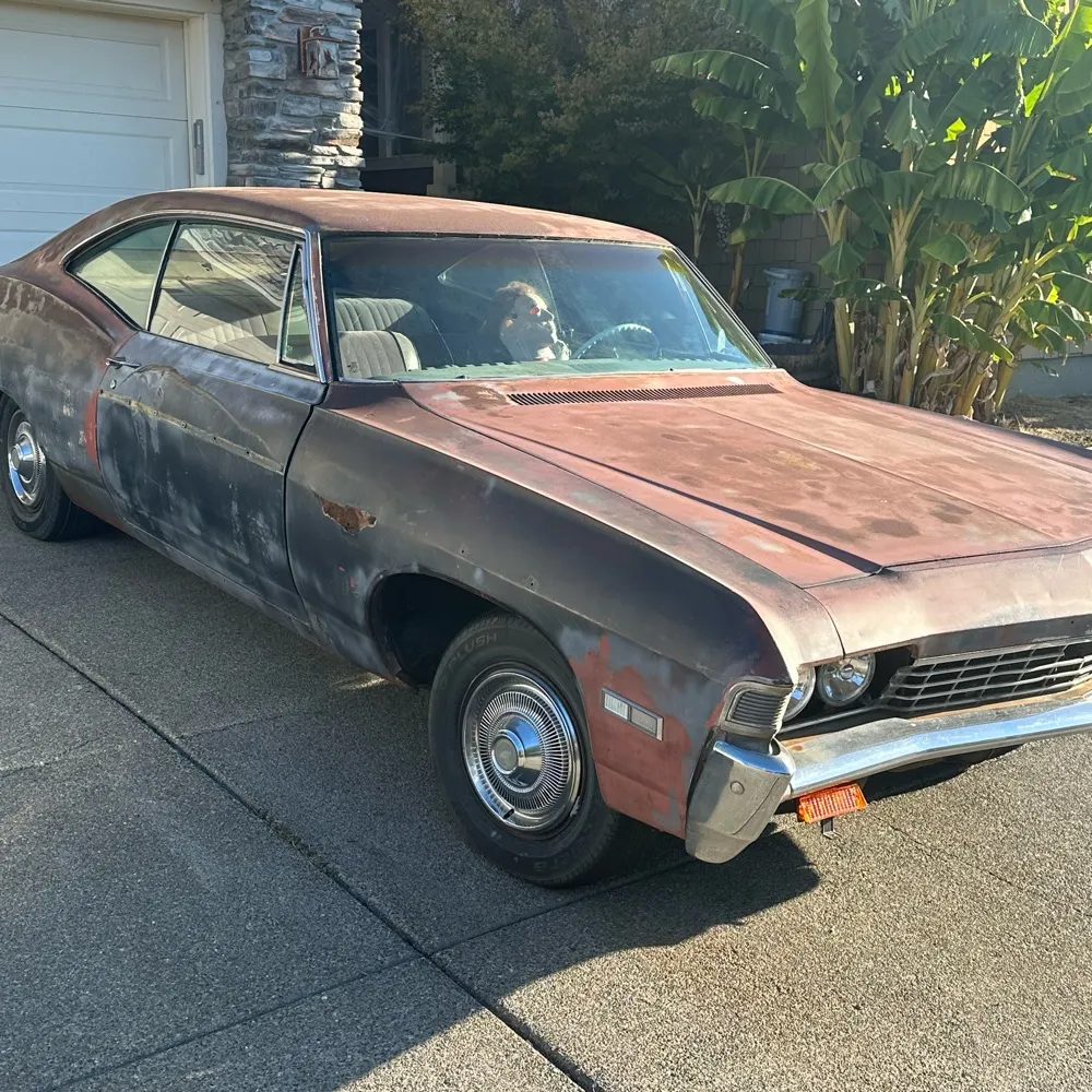 howdummbisthere.bsky.social's profile picture