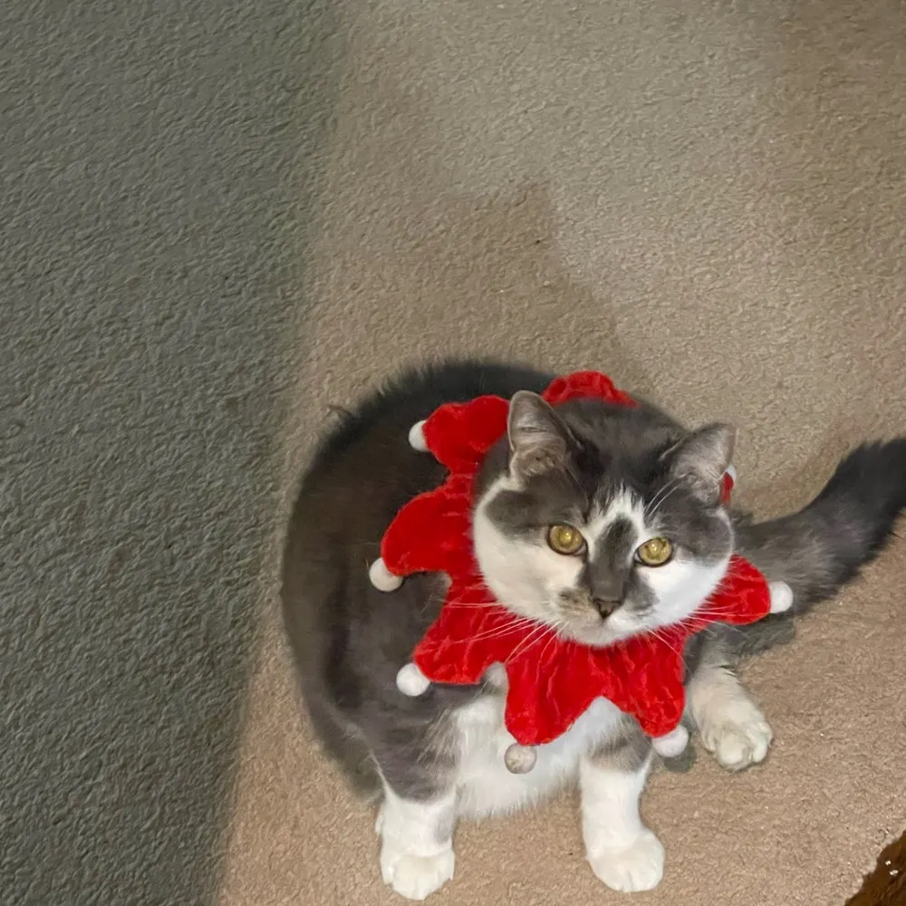 debf56.bsky.social's profile picture