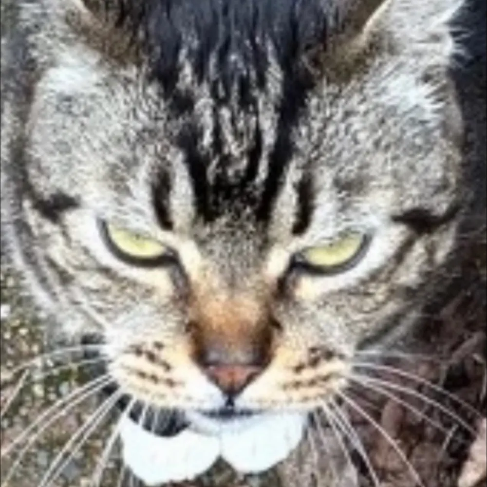 endofsignal.com's profile picture