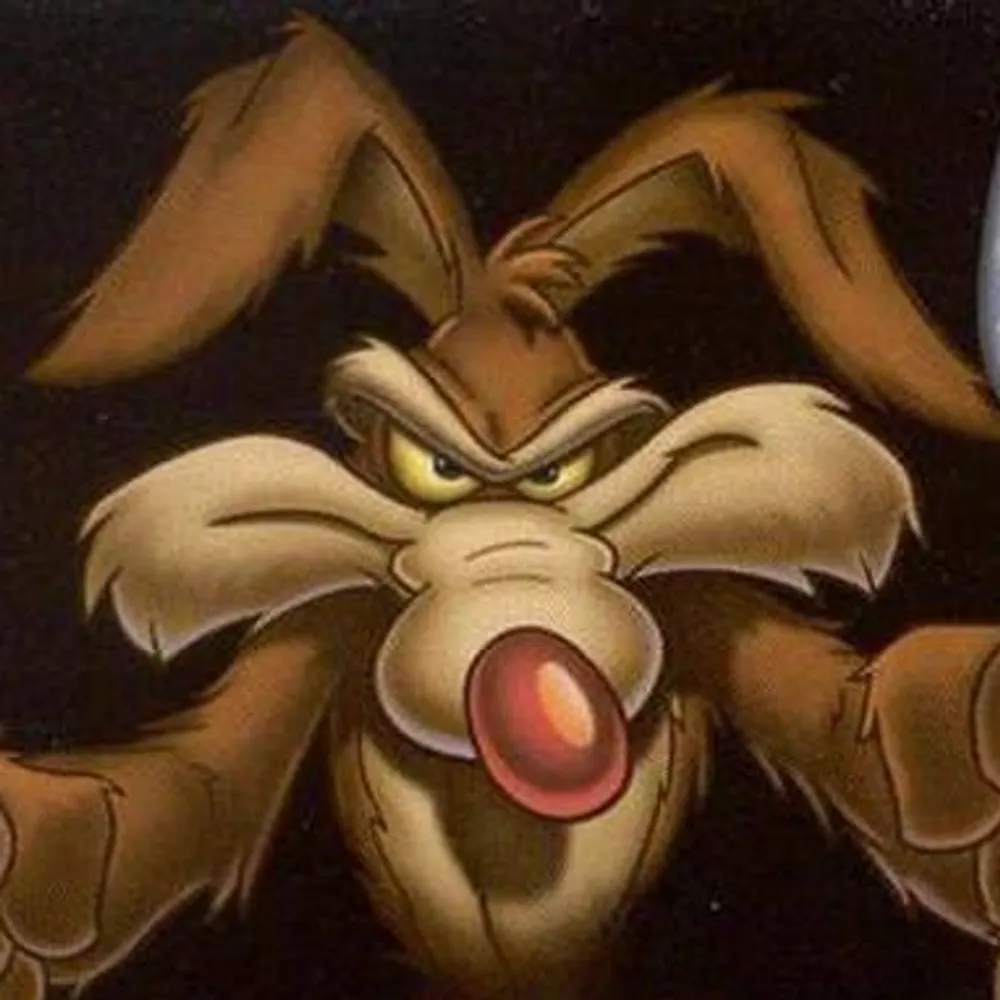 vsoz.bsky.social's profile picture