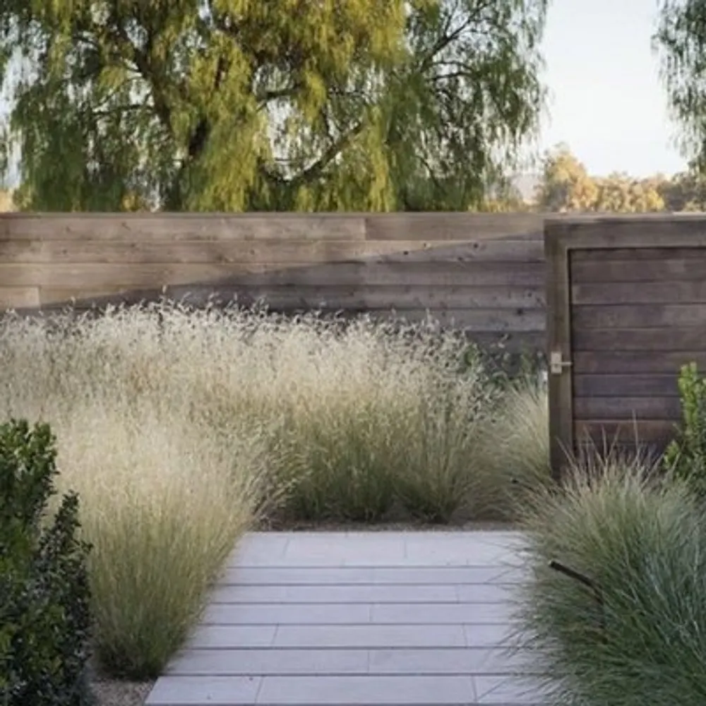 shawnfeb24.bsky.social's profile picture