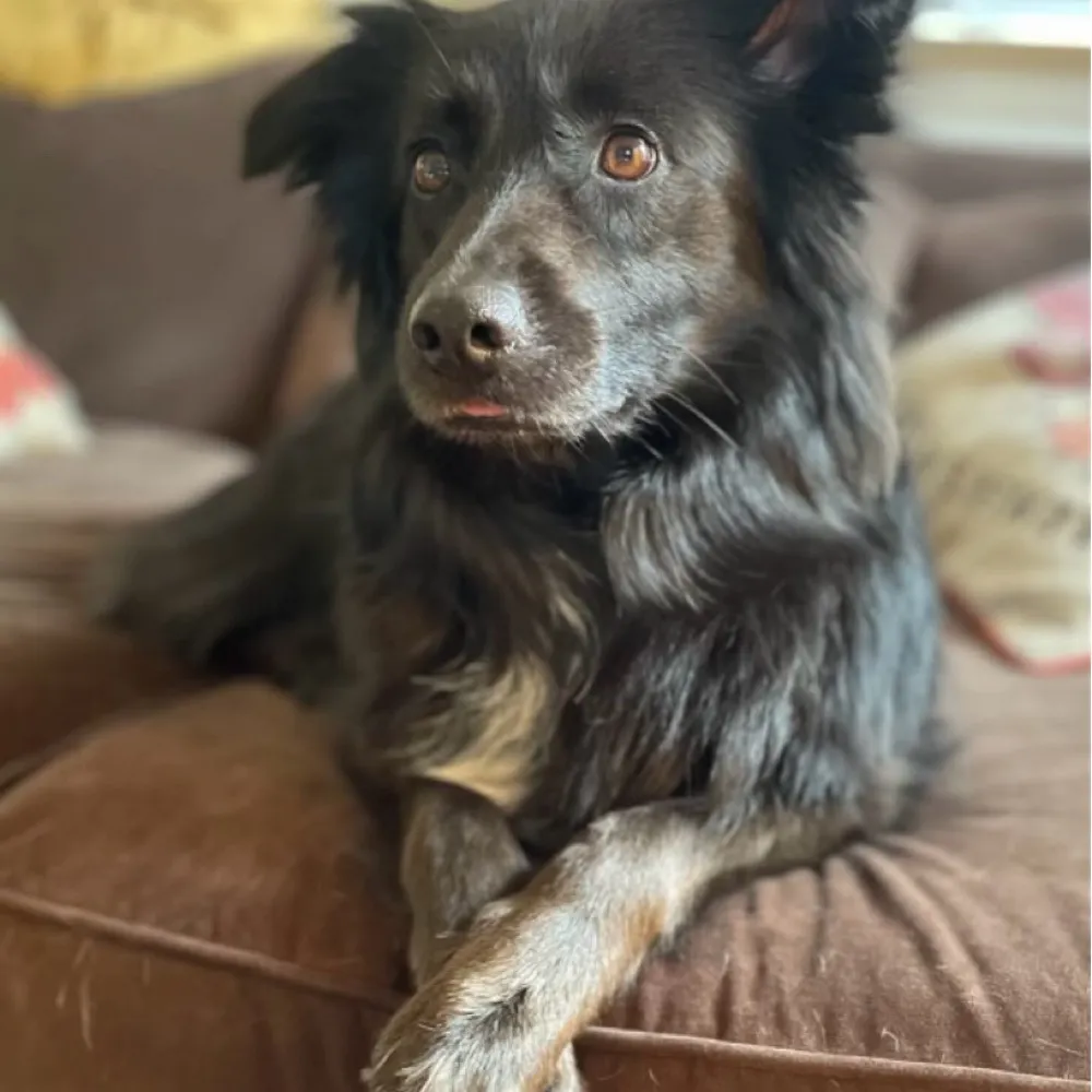 onlyonecomment.bsky.social's profile picture