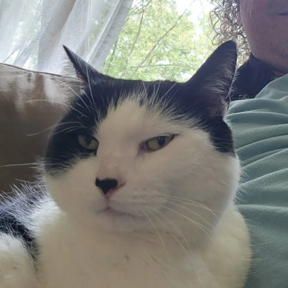 bostonbugsy.bsky.social's profile picture