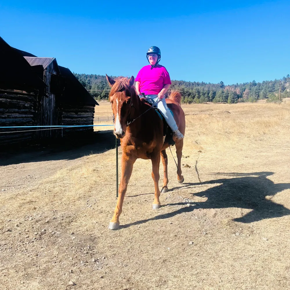 ponyco.bsky.social's profile picture