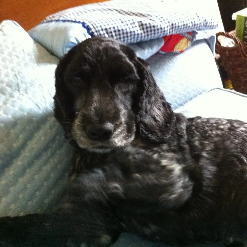 h2022.bsky.social's profile picture