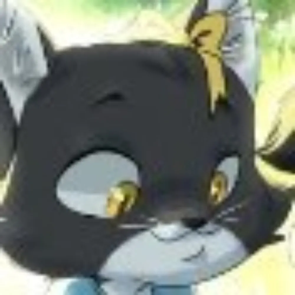 bigmittenkitten.bsky.social's profile picture