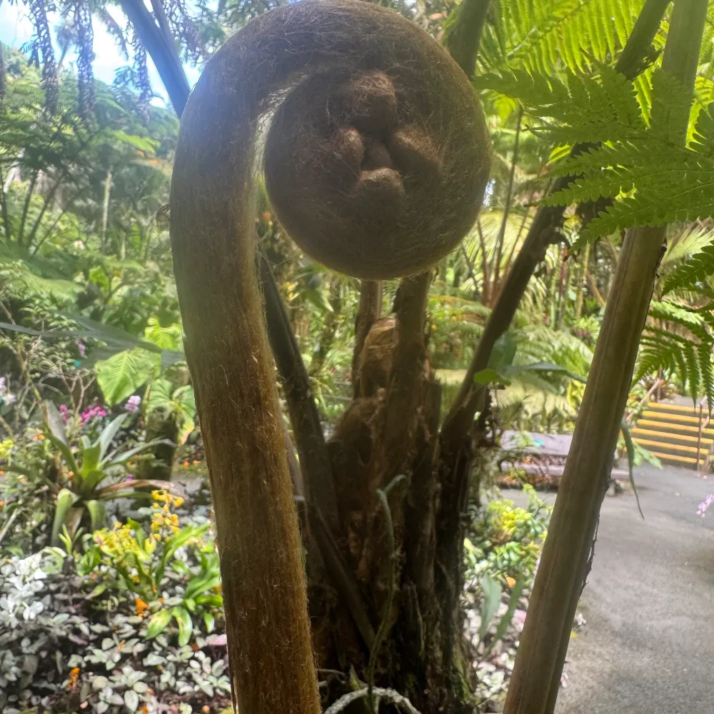 jardinpolitique.bsky.social's profile picture