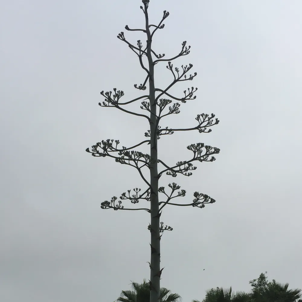 guerillalibrarian.bsky.social's profile picture