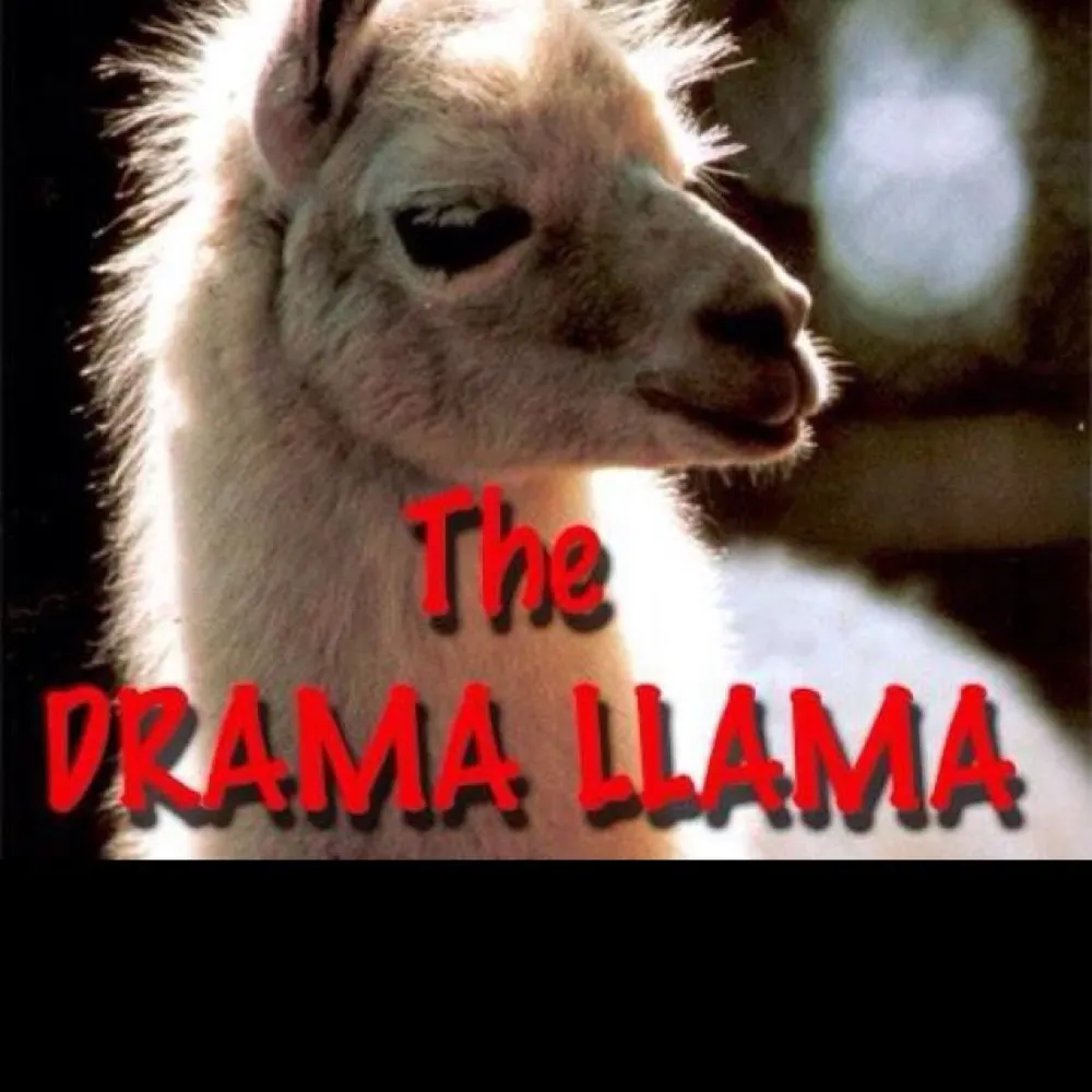 chunky-baby.bsky.social's profile picture