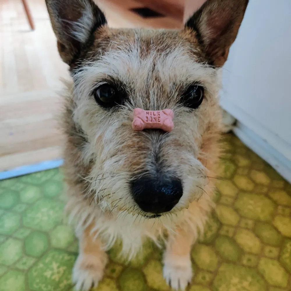 crimedad.work's profile picture