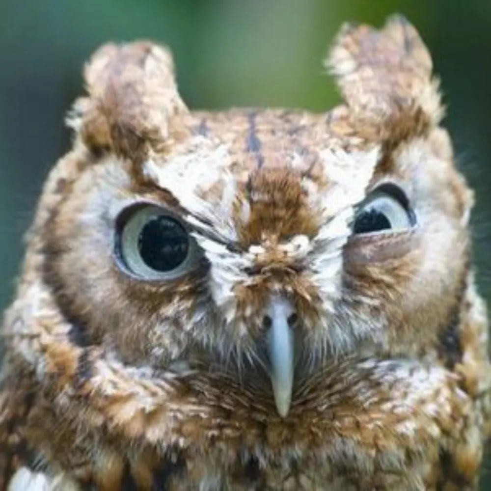 mark-ungrin.bsky.social's profile picture