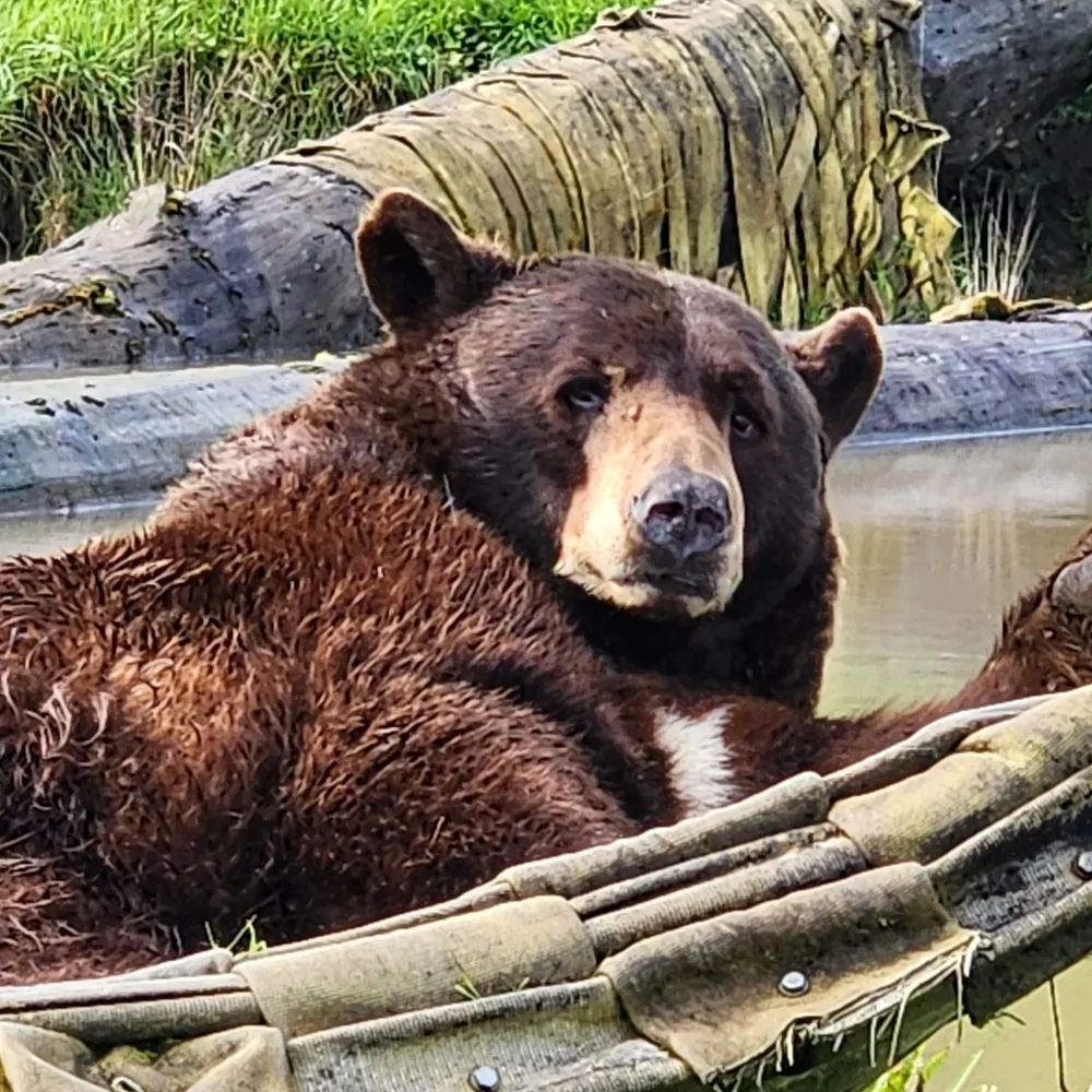 hansonpat.bsky.social's profile picture