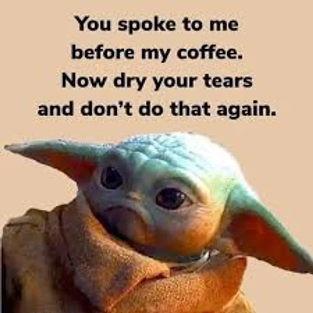 speakfreely55.bsky.social's profile picture