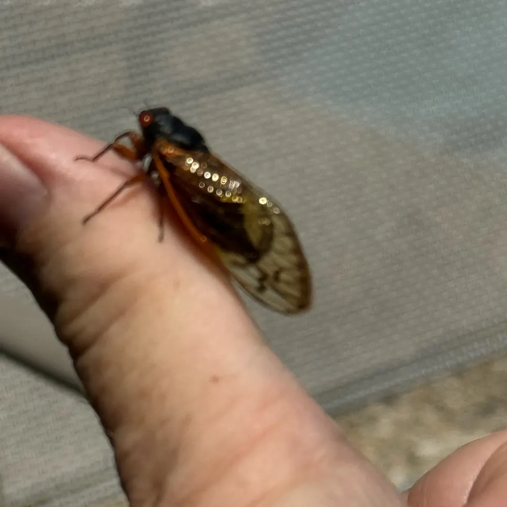 lipidguy.bsky.social's profile picture