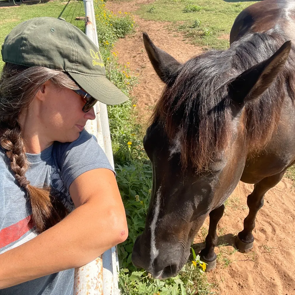 lindstorian.bsky.social's profile picture