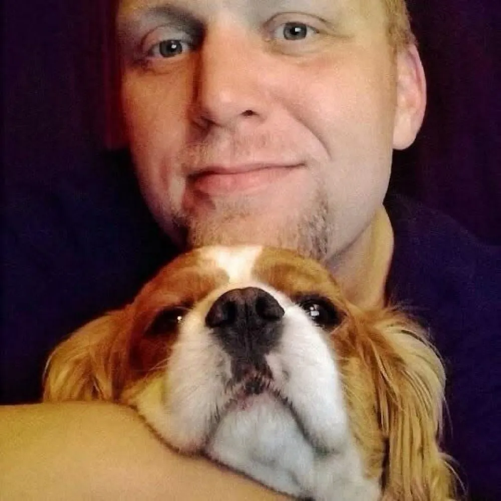 goodfoxb.bsky.social's profile picture