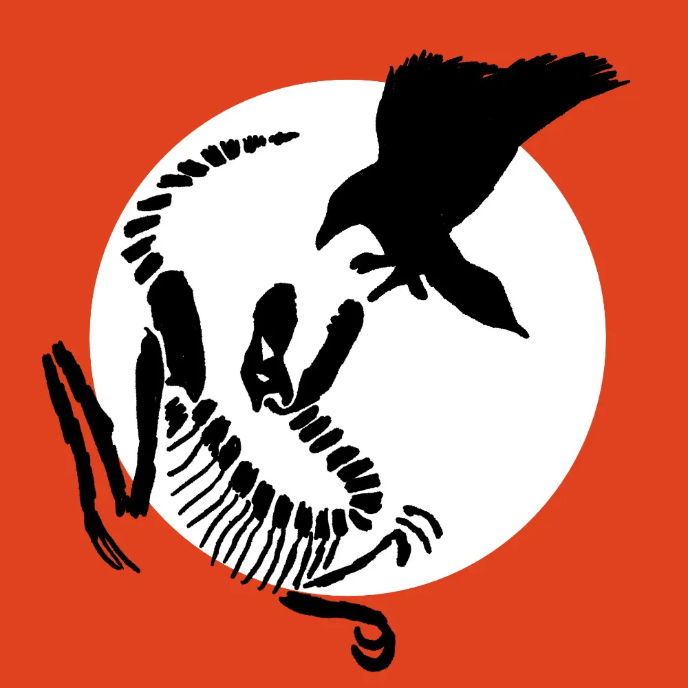 raptorshadow.bsky.social's profile picture