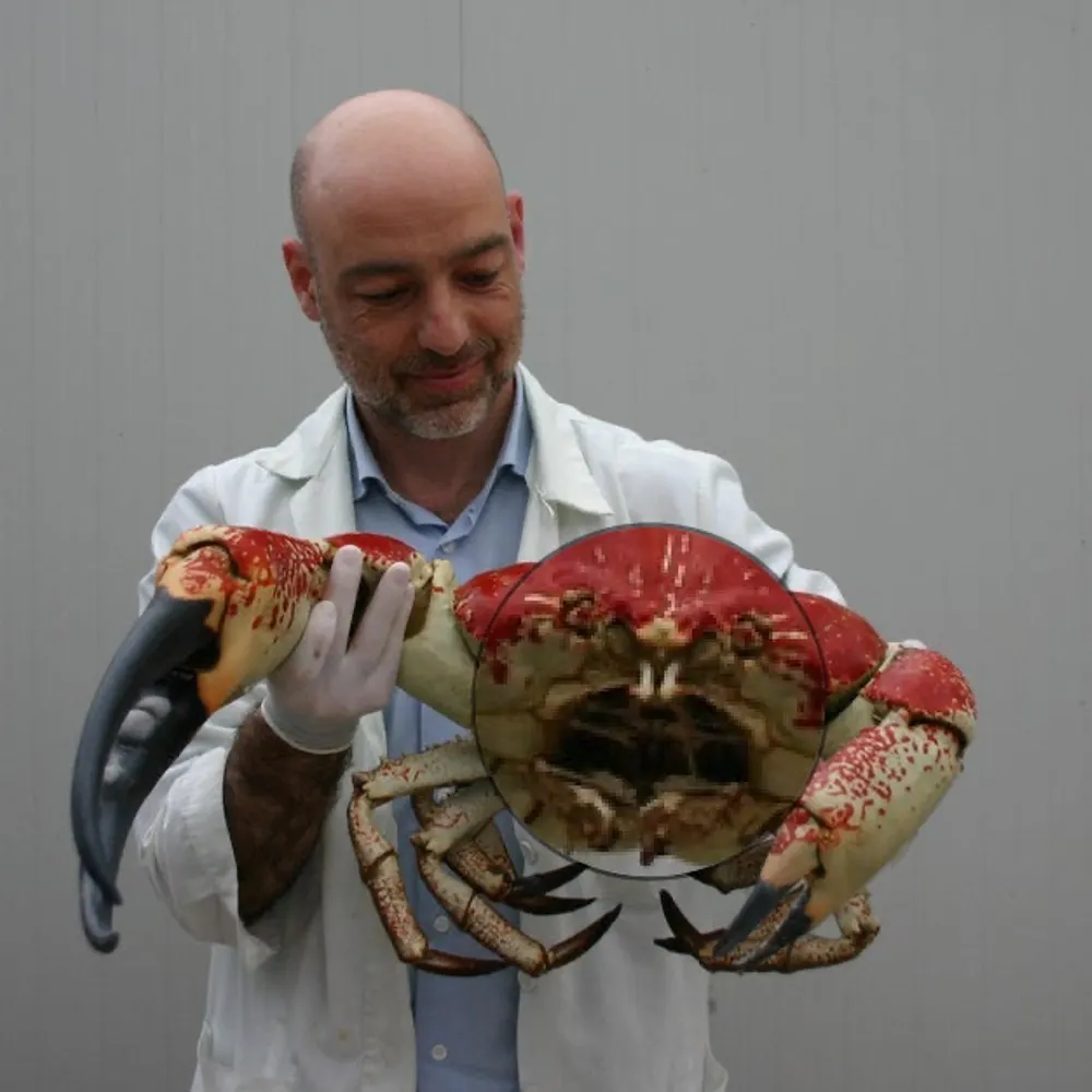 monsieurmalhomme.bsky.social's profile picture