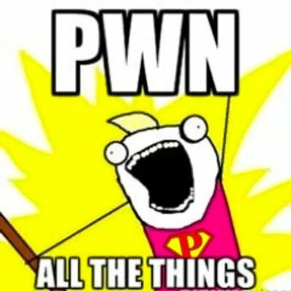 pwnallthethings.bsky.social's profile picture