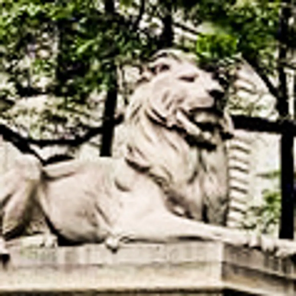 nywonk.bsky.social's profile picture