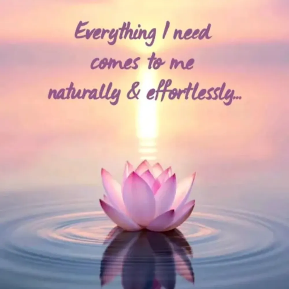 pamelawf.bsky.social's profile picture