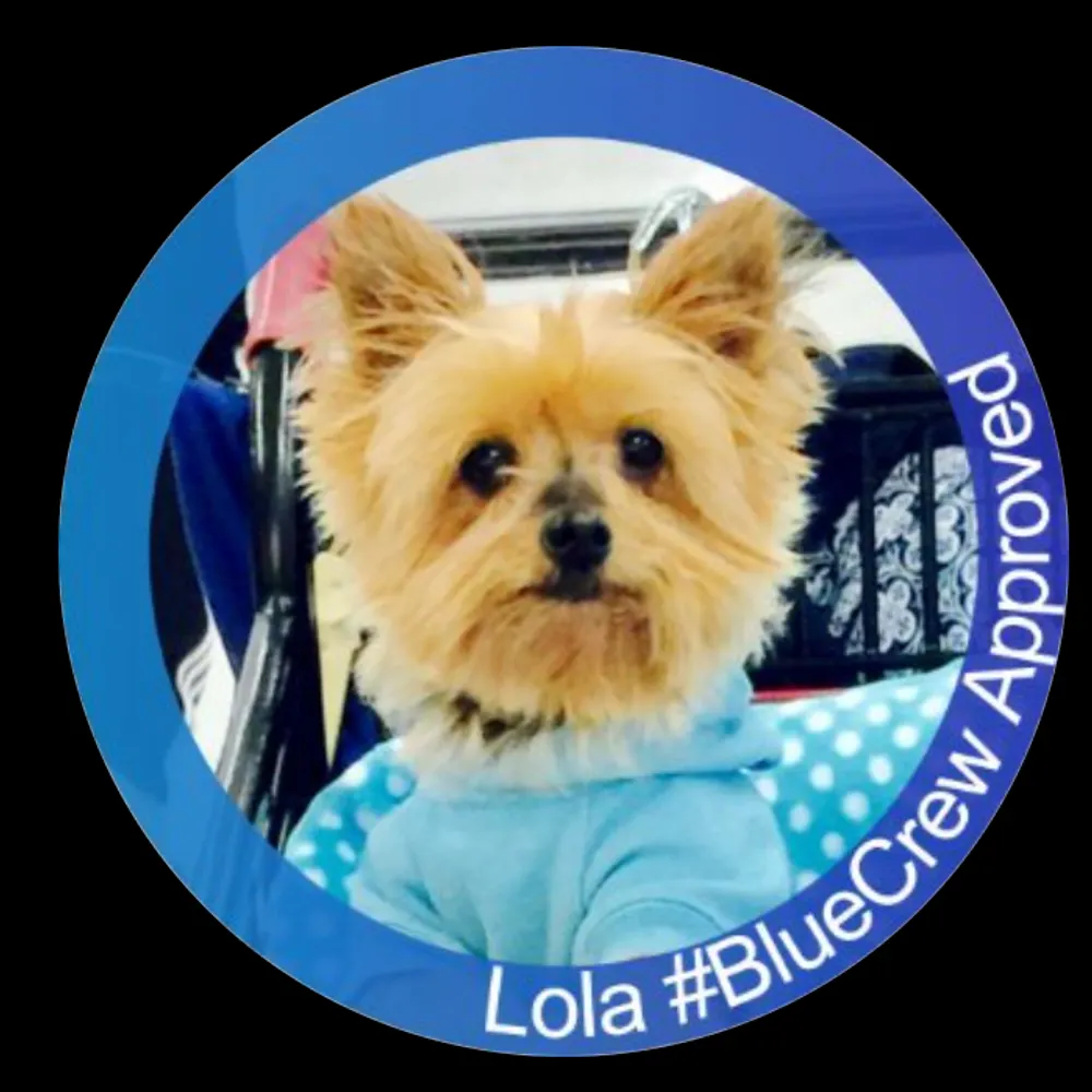 603td.bsky.social's profile picture