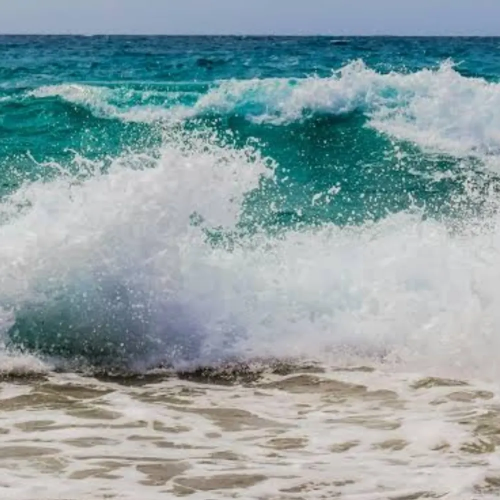 sylviem.bsky.social's profile picture