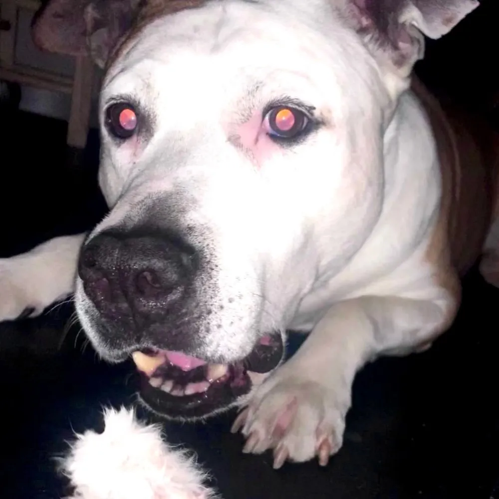 yan-mdamda.bsky.social's profile picture