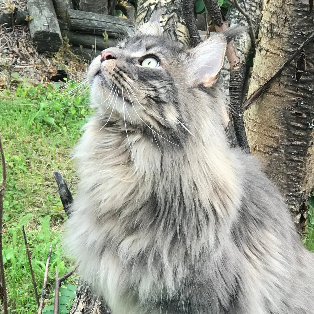 suzyqueboy.bsky.social's profile picture