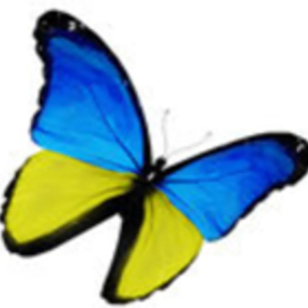 xhbkhb.bsky.social's profile picture