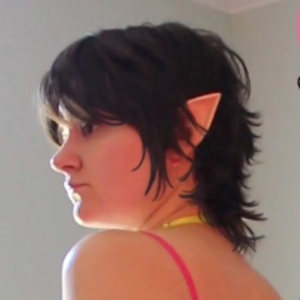 cozyfae.bsky.social's profile picture