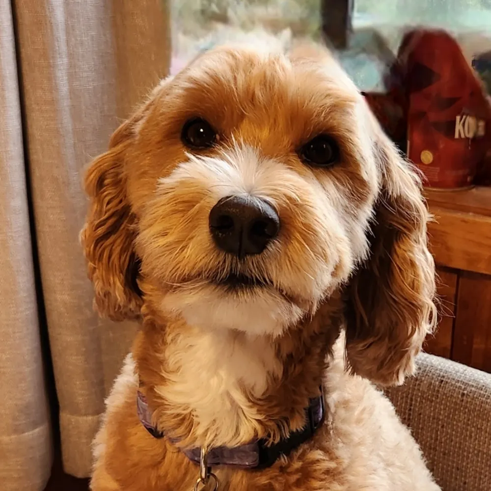 shellyfriedland.bsky.social's profile picture