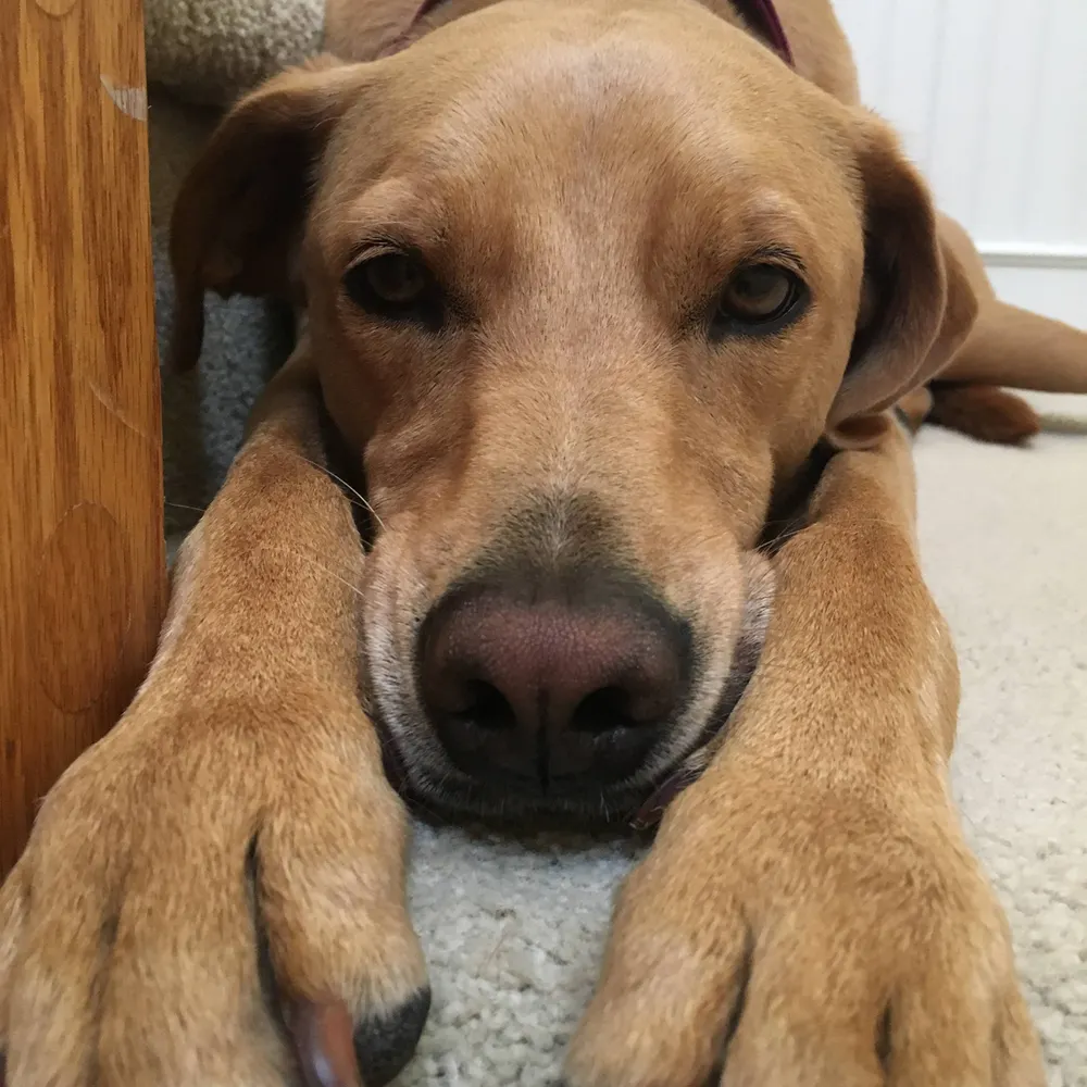 downontheupside.bsky.social's profile picture