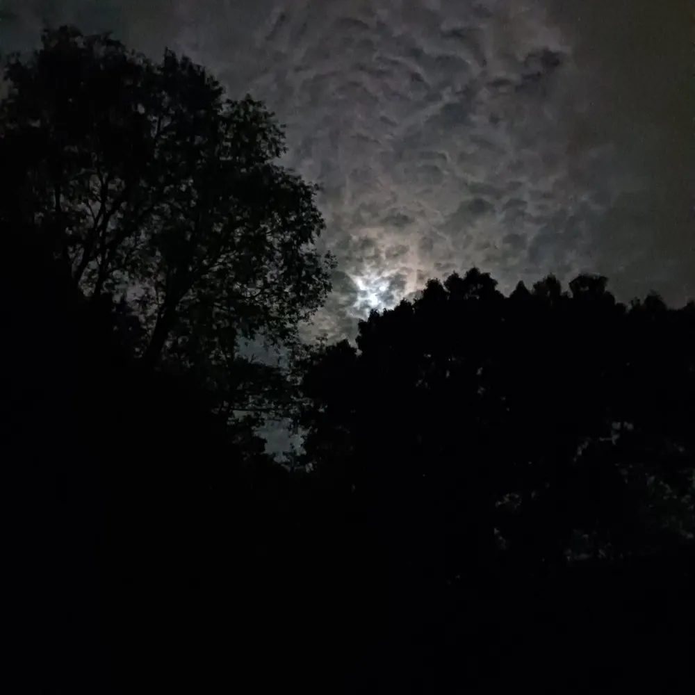 batmanstanman.bsky.social's profile picture