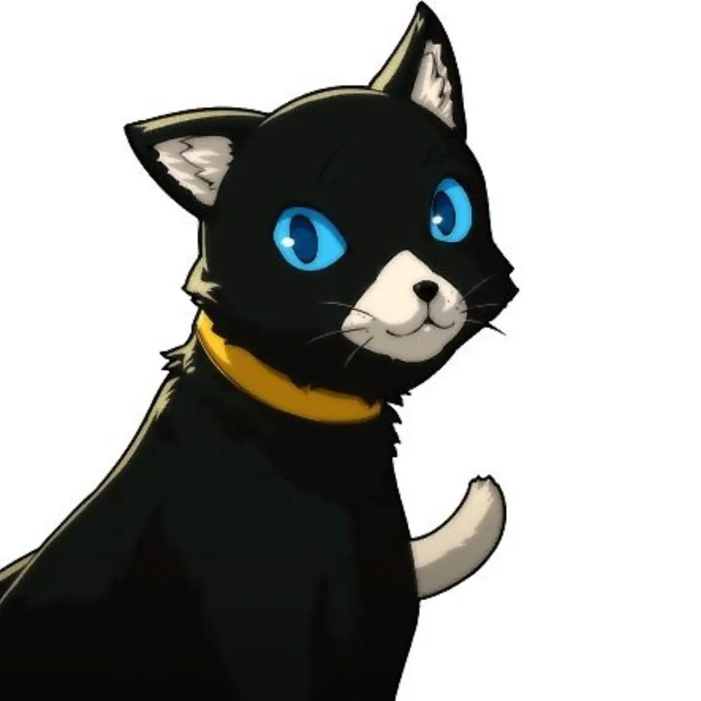 ponder719.bsky.social's profile picture