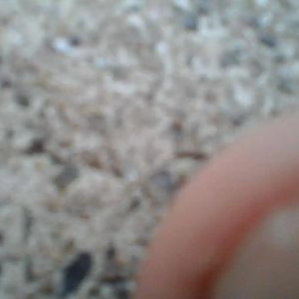 gertgertgert001.bsky.social's profile picture