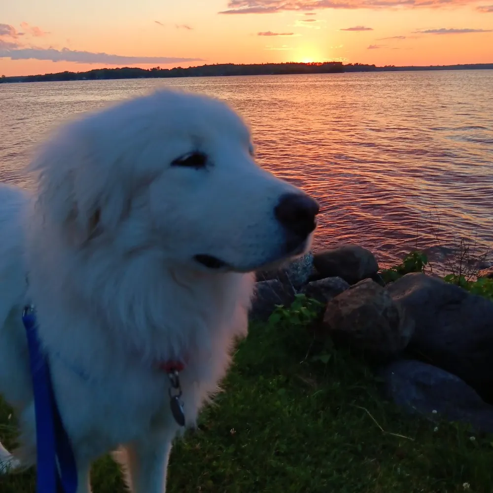 solitudepeace.bsky.social's profile picture