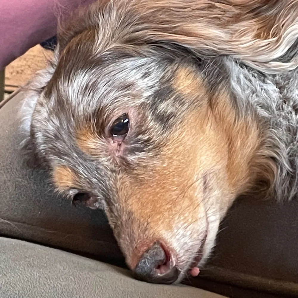 rittsq.bsky.social's profile picture