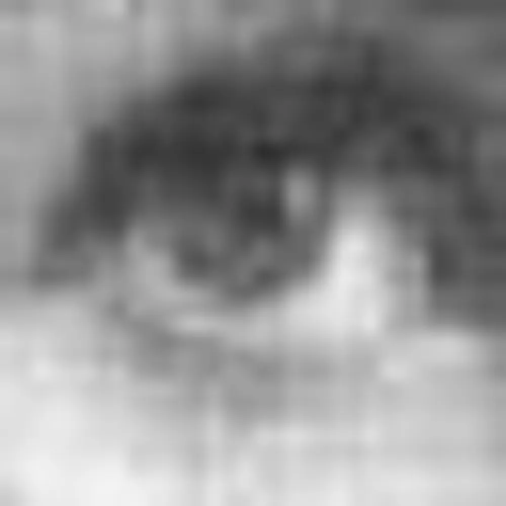 rebeccablood.bsky.social's profile picture