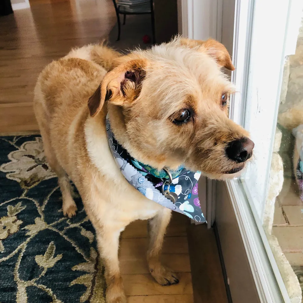 planningforall.bsky.social's profile picture