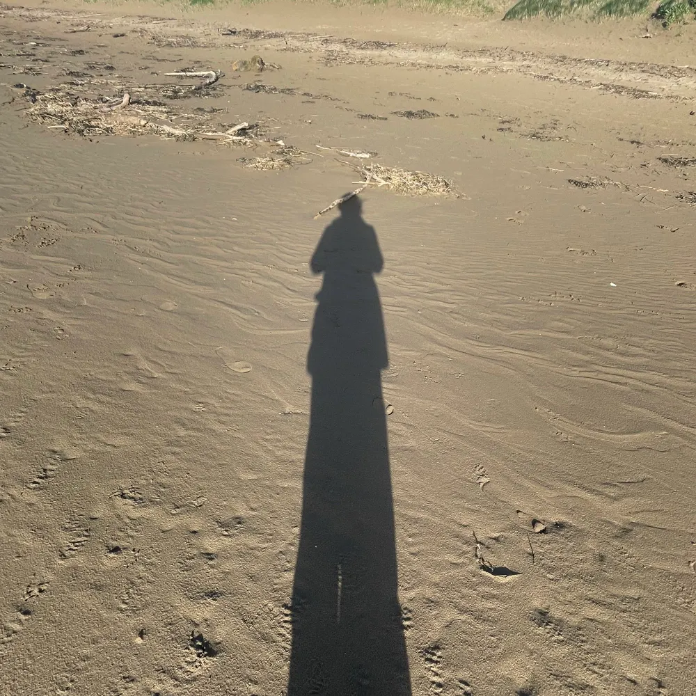 cab1990.bsky.social's profile picture